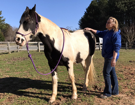 Learn the bladder meridian